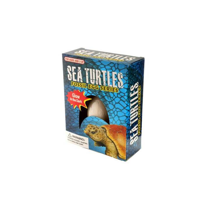 ROOST Dig it out - Sea Turtle Scatola di sperimentazione (Archeologia)