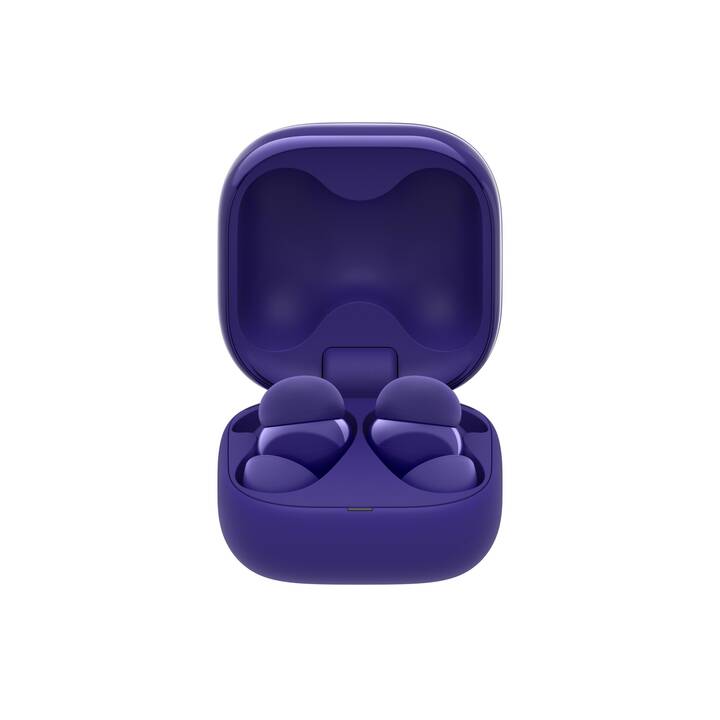Image du produit 12