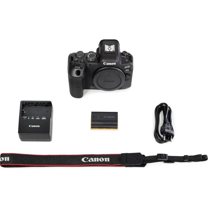 CANON EOS R6 + RF 50mm F1.8 STM + SD-Card 32GB Kit (20.1 MP, Plein format)