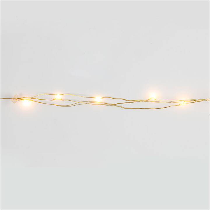 CREATIV COMPANY Guirlande électrique (20 LEDs, 315 cm)
