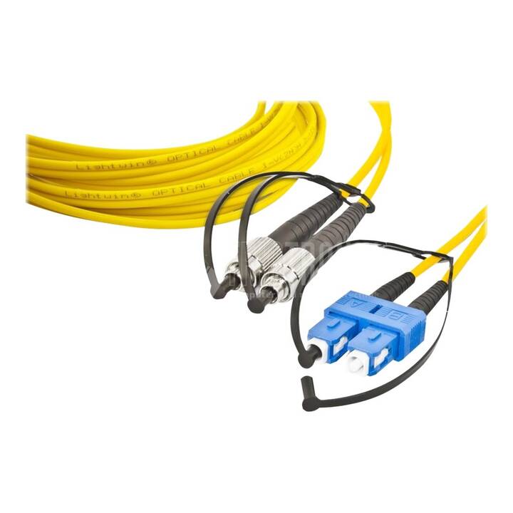 LIGHTWIN Câble réseau (5 m)