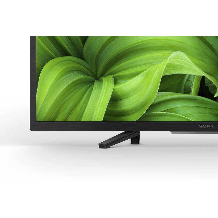 SONY KD32W800P1AEP Smart TV (32", LCD, HD)