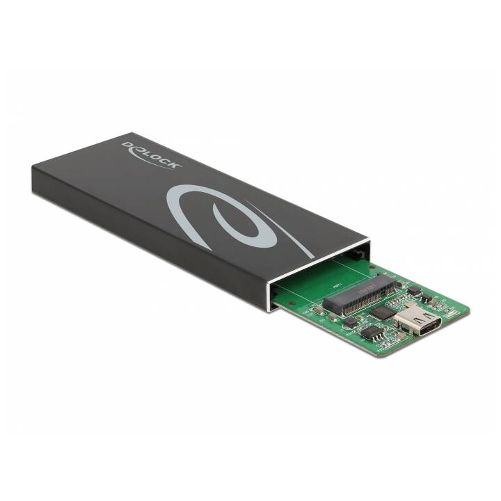 DELOCK M.2 SATA SSD mit USB Type-C (Boîtiers de disque dur externe)