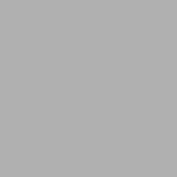 SAVAGE Fotohintergrund (Grau, 135 x 1100 cm)