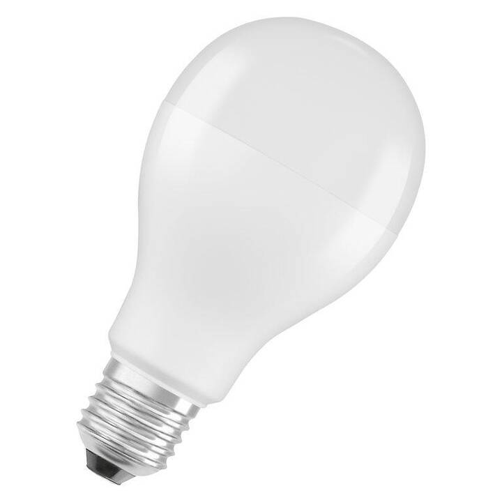 LEDVANCE Lampadina LED (E27, 19 W)