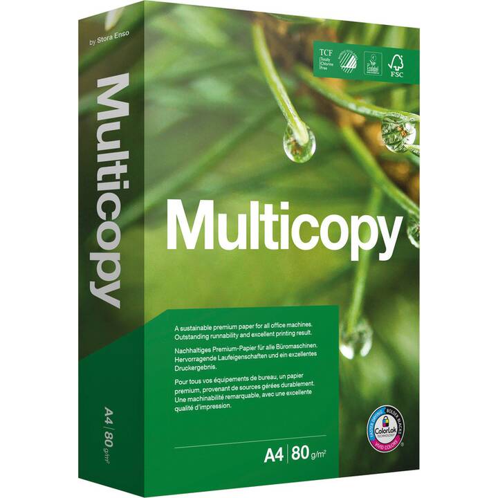PAPYRUS MultiCopy Carta per copia (500 foglio, A3, 80 g/m2)