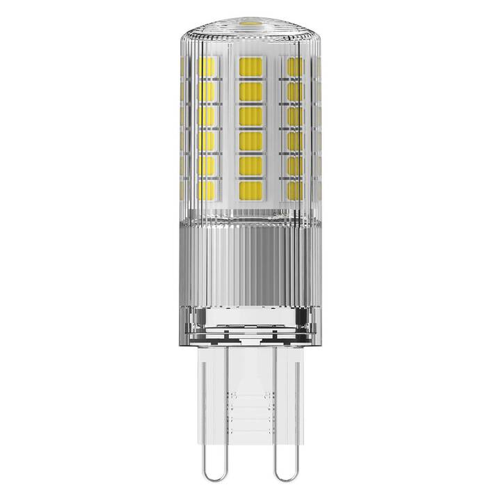 OSRAM Ampoule LED Star Pin 50 (G9, 4.8 W)