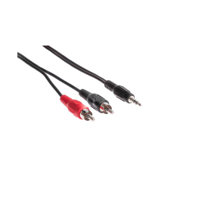 LINK2GO Câble adapteur (Cinch, Jack 3.5 mm, 2 m)