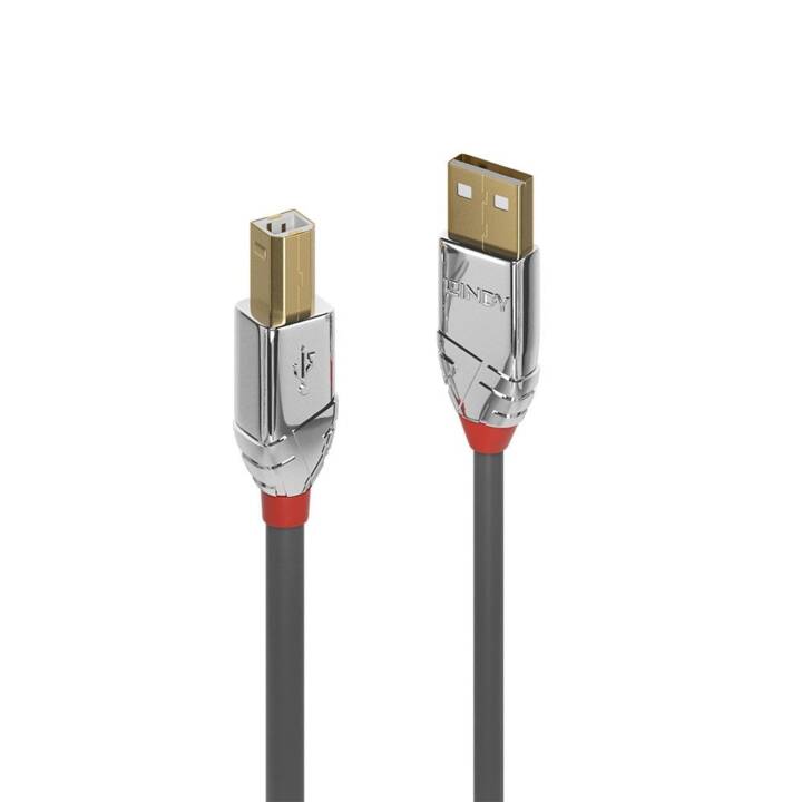 LINDY Câble USB (USB 2.0 Type-A, USB 2.0 Type-A, 2 m)