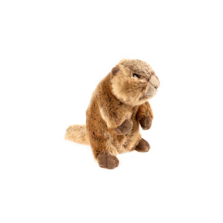 LEO BRUMMBÄR Marmotte (17 cm, Brun)