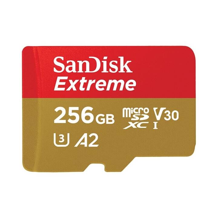 SANDISK MicroSD Extreme (UHS-I Class 3, Video Class 30, 256 GB, 160 MB/s)
