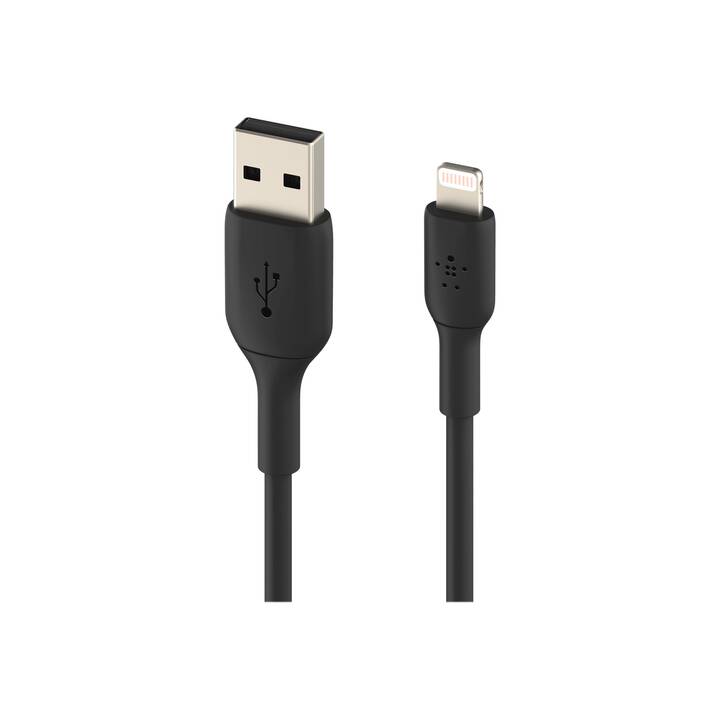 BELKIN Câble (Lightning, USB 2.0 Type-A, 1 m)