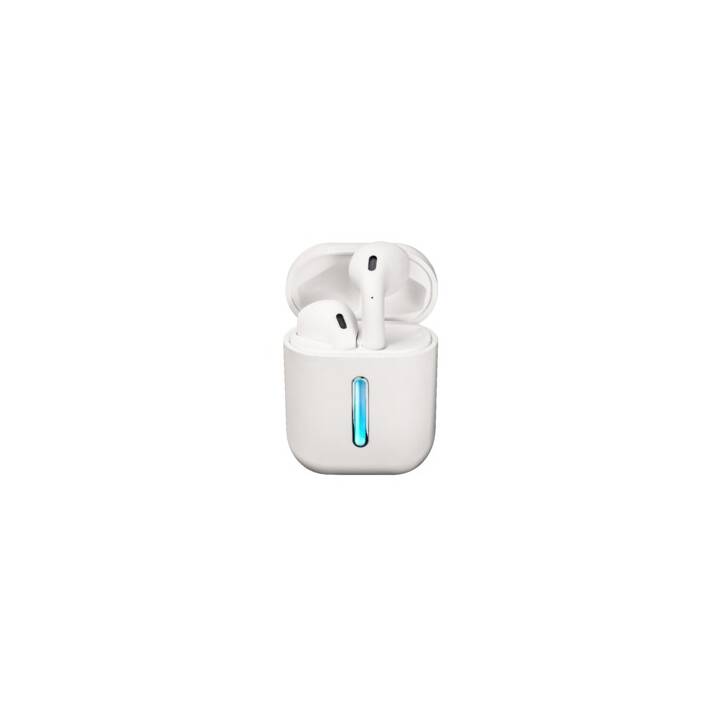 INTERTRONIC EP-164 True Wireless (Earbud, Bluetooth 5.0, Bianco)