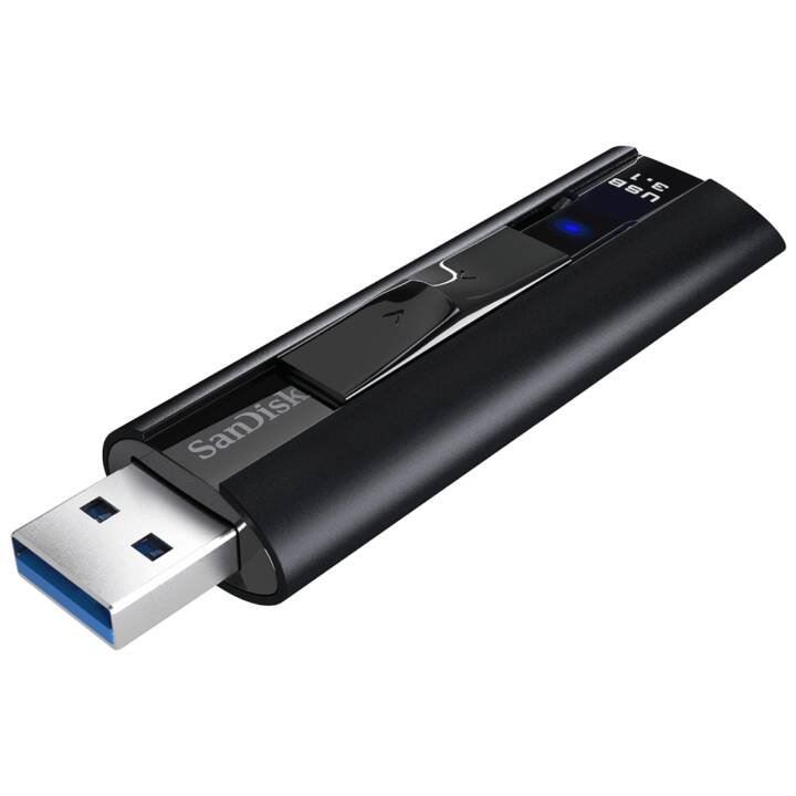 SANDISK (256 GB, USB 3.1 Typ-A)