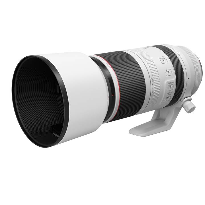 CANON RF L IS USM 100-500mm F/4.5-7.5 (RF-Mount)