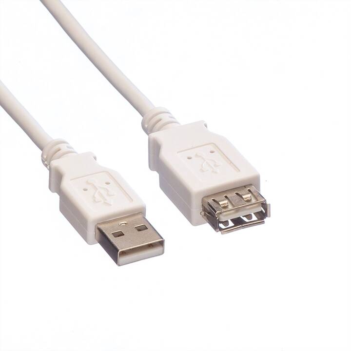 VALUE Câble USB (USB A, USB de type A, 3 m)