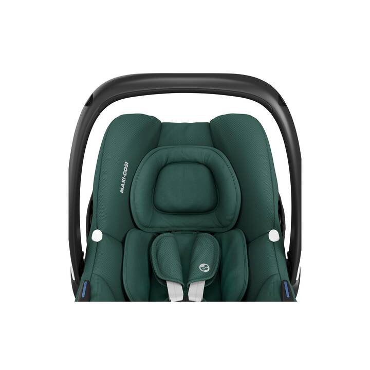 MAXI-COSI Sedile ergonomico Cabriofix (Verde scuro)