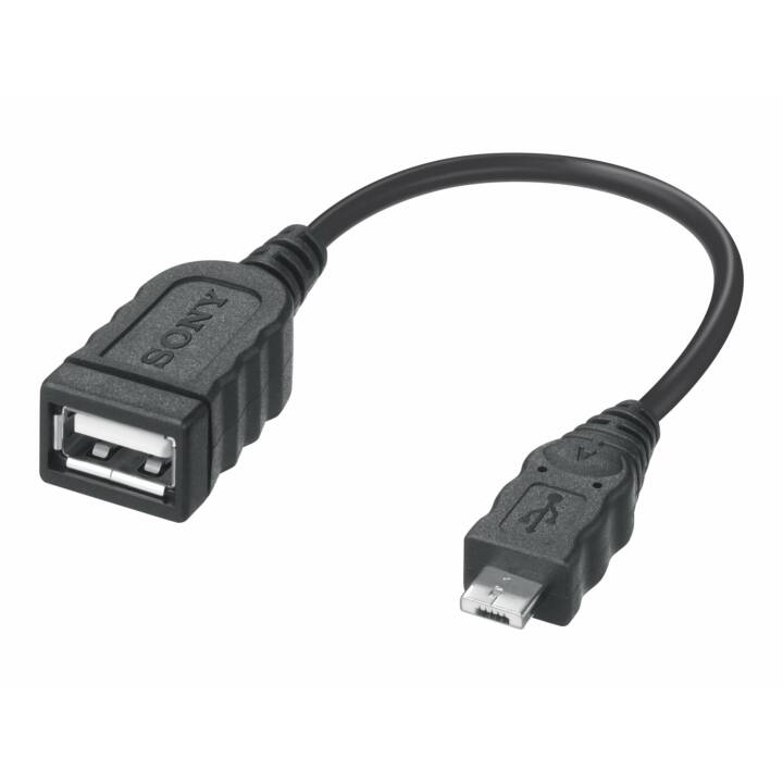 SONY Adaptateur vidéo (USB A)