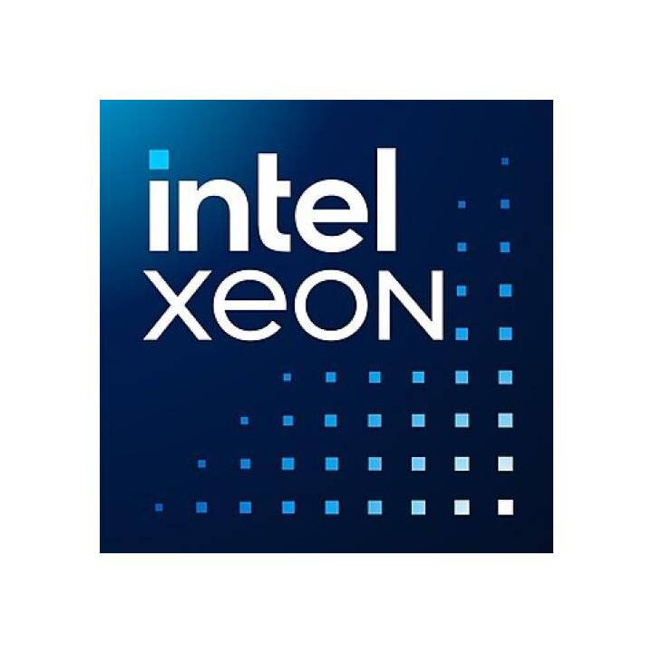 DELL PowerEdge R250 YJ10W (Intel Xeon E, 16 GB, 3.4 GHz)