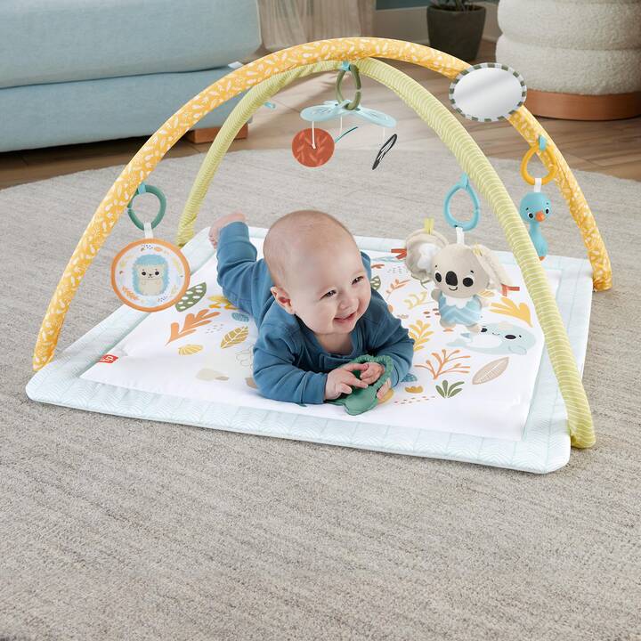 FISHER-PRICE Krabbeldecke & Spielbogen (Mehrfarbig)