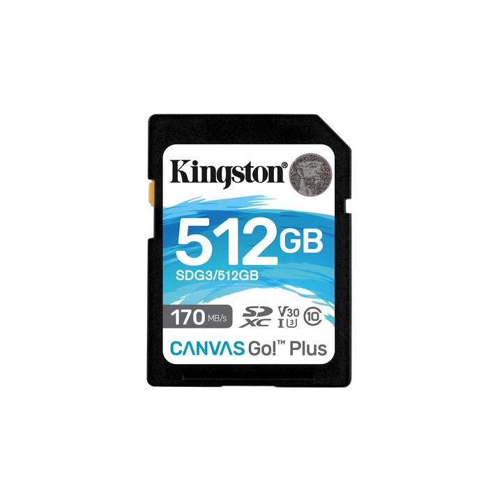 KINGSTON TECHNOLOGY SD Canvas Go! (Class 10, 512 GB, 170 MB/s)