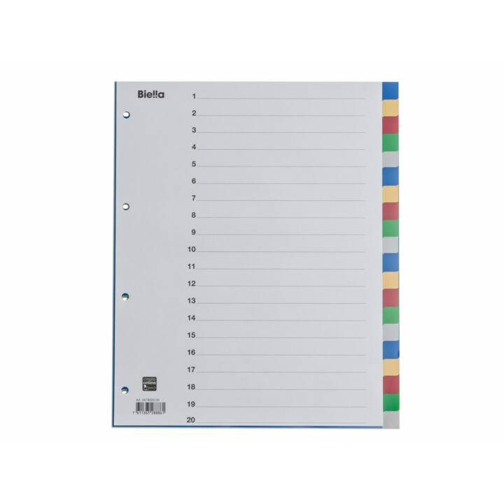 BIELLA Registro (20 x A4, Coloristico)