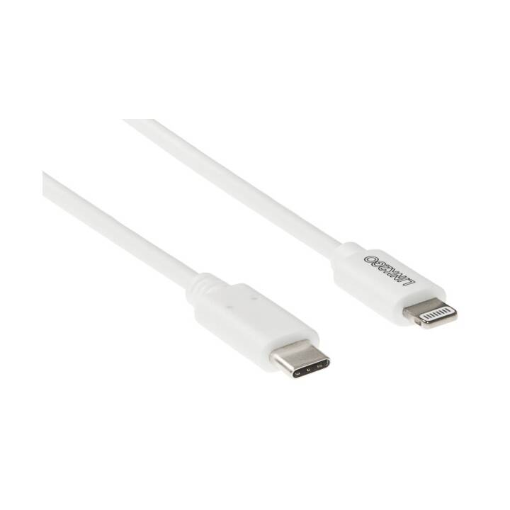 LINK2GO Câble de connexion (Blanc, 1 m, Lightning)