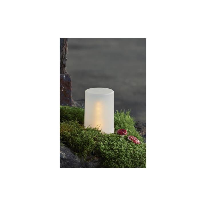 STAR TRADING Pillar Flame Bougies LED (Blanc)