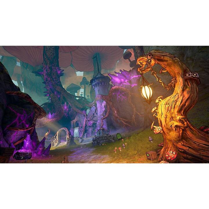 Image du produit 7