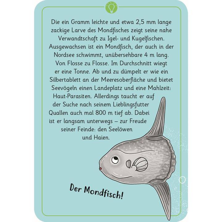 Produktbild 6