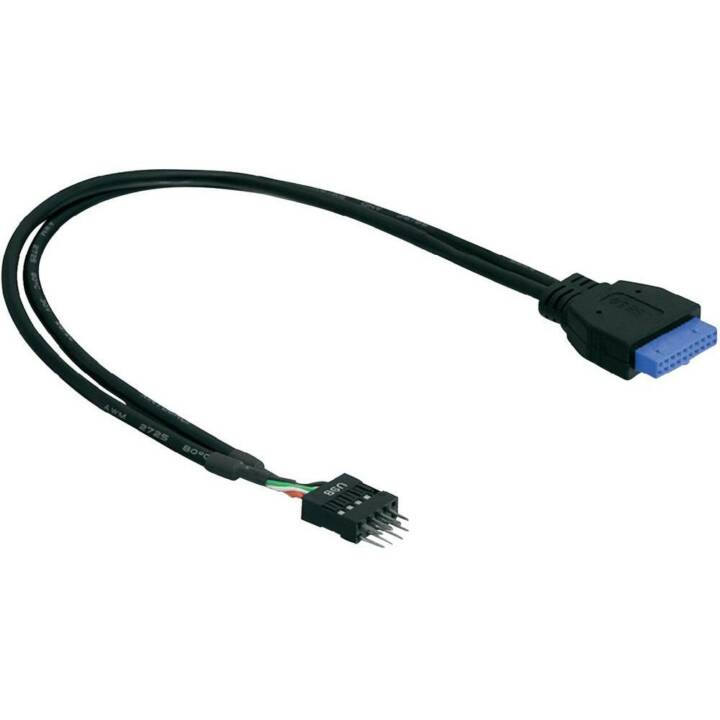 DELOCK Câble de donnée interne (8 Pin, 19 Pin, 0.3 m)