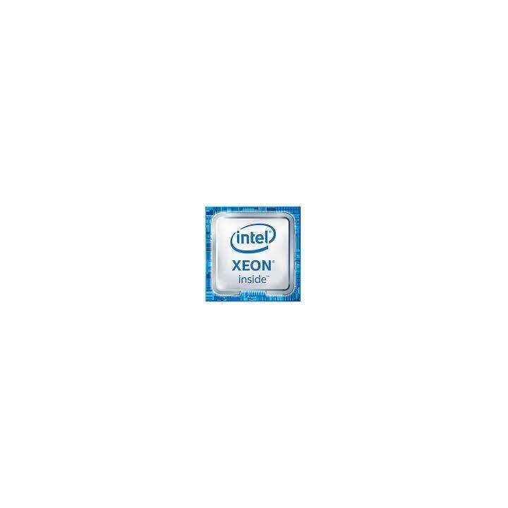 HPE ProLiant ML30 Gen11 (Intel Xeon, 32 GB, 3.4 GHz)