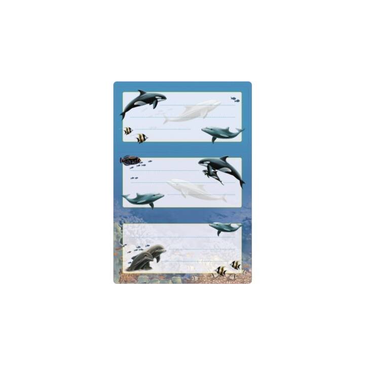 HERMA Schuletiketten Dolphin (Blau, Mehrfarbig, 6 Stück)