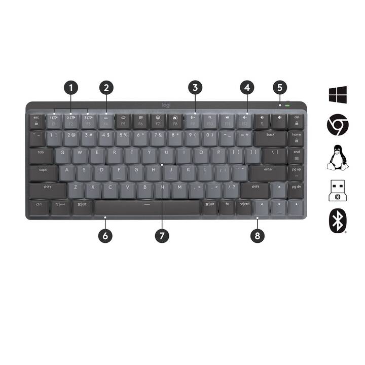 LOGITECH MX Mechanical Mini (Bluetooth, USB, Suisse, Sans fil)