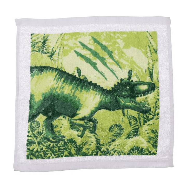 Growing Toy Magic Towel Dino