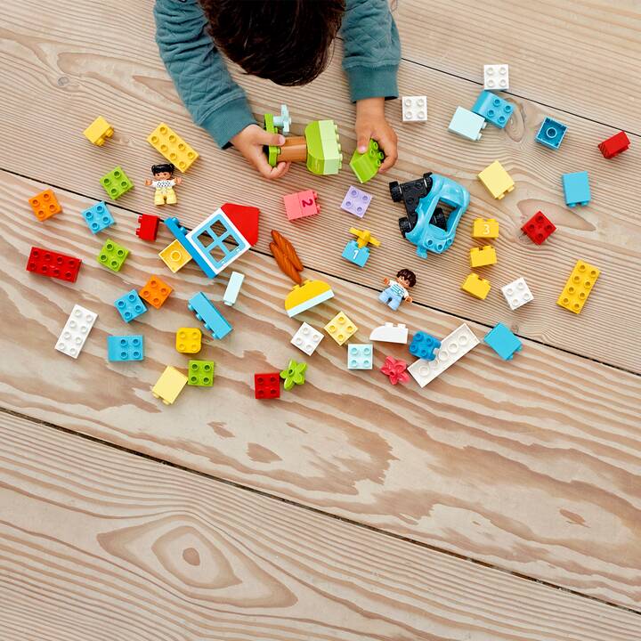 LEGO DUPLO Contenitore di mattoncini (10913)