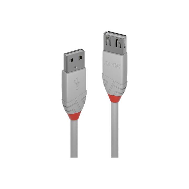 LINDY USB-Kabel (USB 2.0 Typ-A, USB 2.0 Typ-A, 1 m)