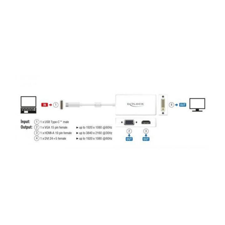 DELOCK Adaptateur vidéo (USB Type-C)