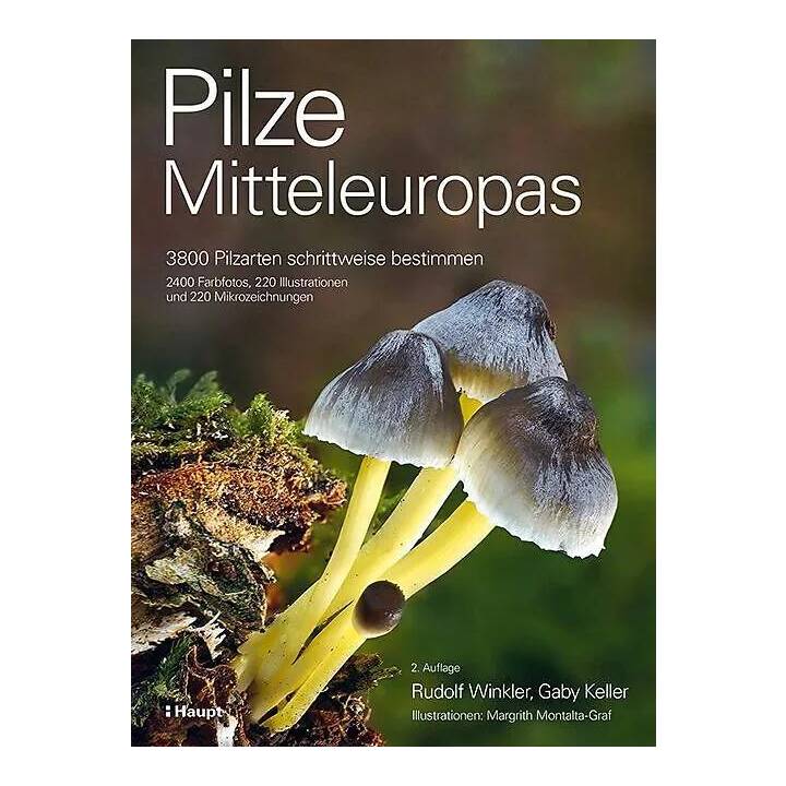 Pilze Mitteleuropas