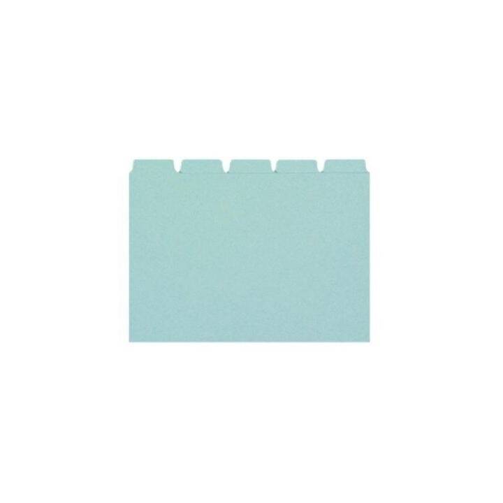 BIELLA Cartes-guides (A6, Bleu, En blanc, 25 pièce)