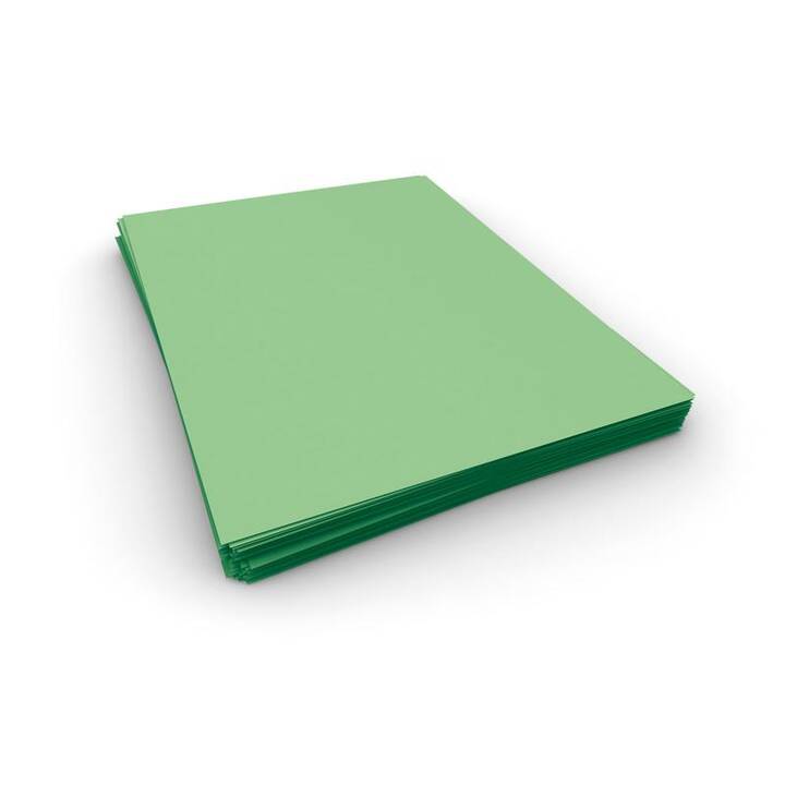 CLAIREFONTAINE Feuille d'impression universelle (500 x 500 feuille, A4, 80 g/m2)