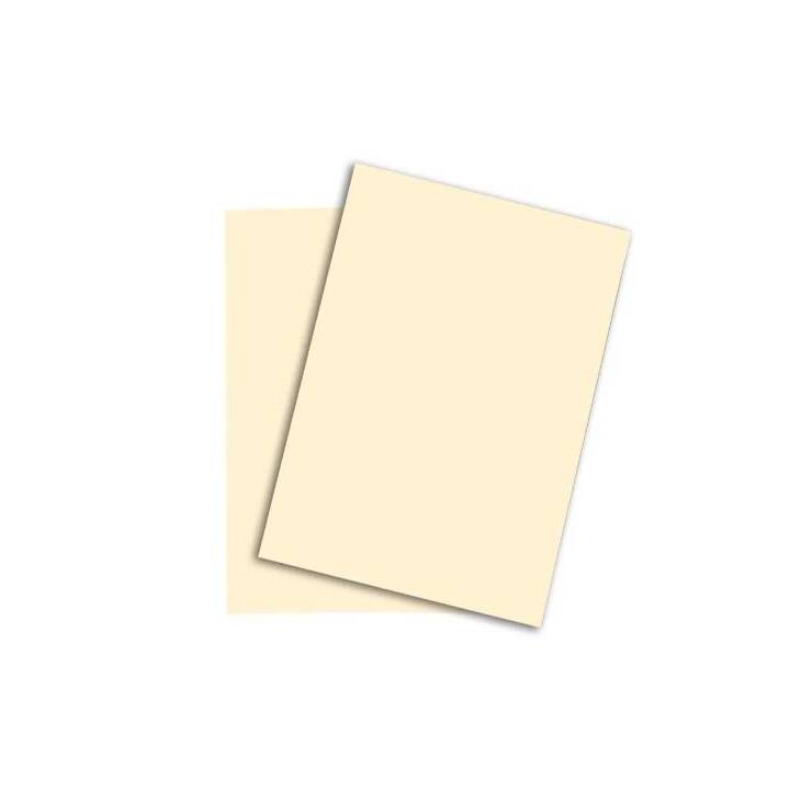 PAPYRUS FSC Carta per copia (250 foglio, A3, 160 g/m2)