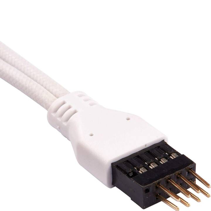 CORSAIR Premium Sleeved Câble de donnée interne (2 Pin, USB 2.0, USB 3.0, USB 3.0, USB 2.0, 2 Pin, 0.3 m)