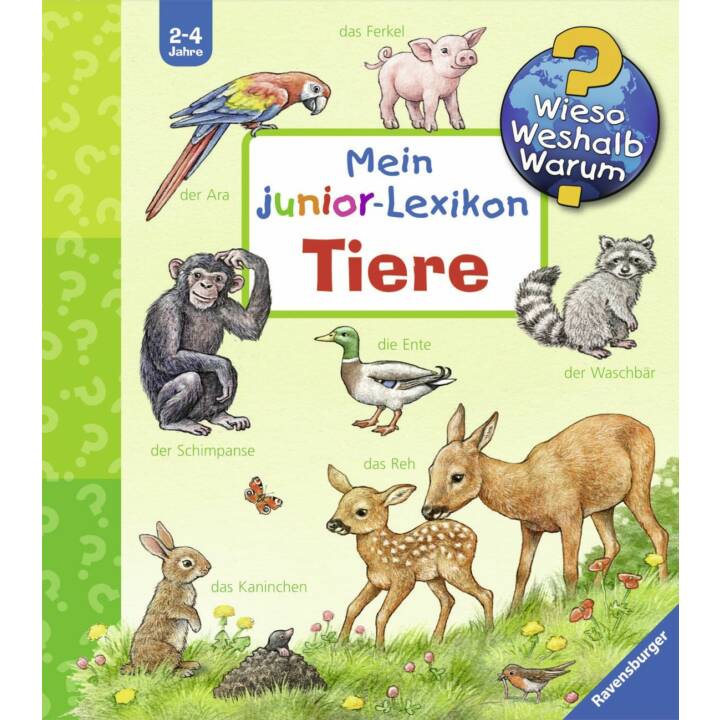 Mein junior-Lexikon: Tiere (Wieso? Weshalb? Warum?)