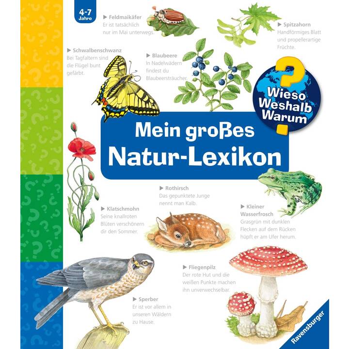 Mein großes Natur-Lexikon