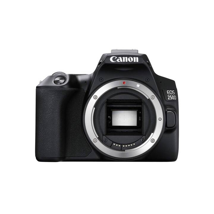 CANON EOS 250D Corpo (24.1 MP)