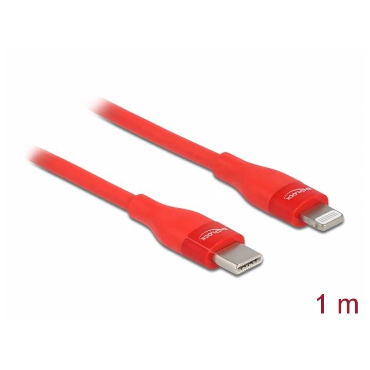 DELOCK Kabel (USB C, Lightning, 1 m)