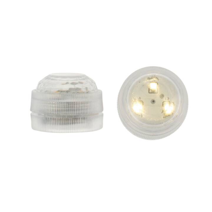 GLOREX Lumière d'ambiance LED (Transparent)