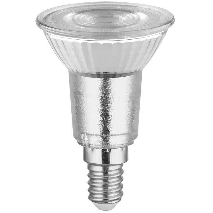 LEDVANCE Lampadina LED (E14, 4.5 W)