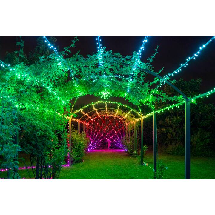 TWINKLY Ghirlanda di luci Strings (400 LEDs, 32 m)